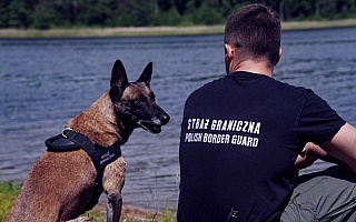 Kolejne psy trafią do służby w straży granicznej. Będą ekspertami w tropieniu narkotyków i materiałów wybuchowych